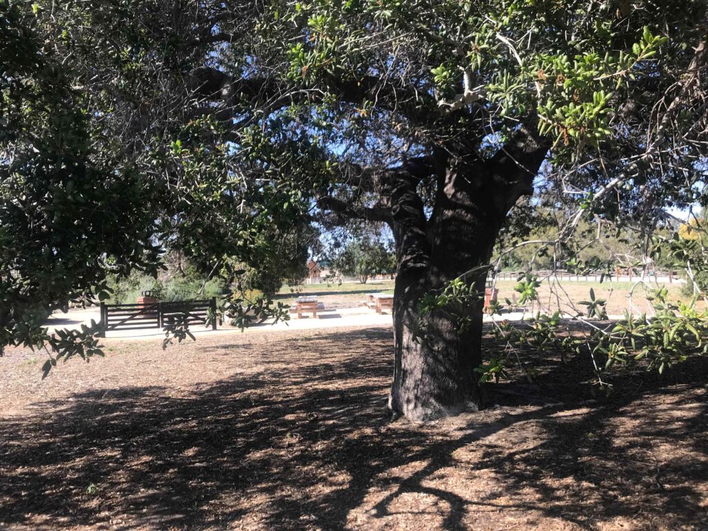 0B07FA94 004E 4E83 8305 1C94C25D2610 11zon 1024x768