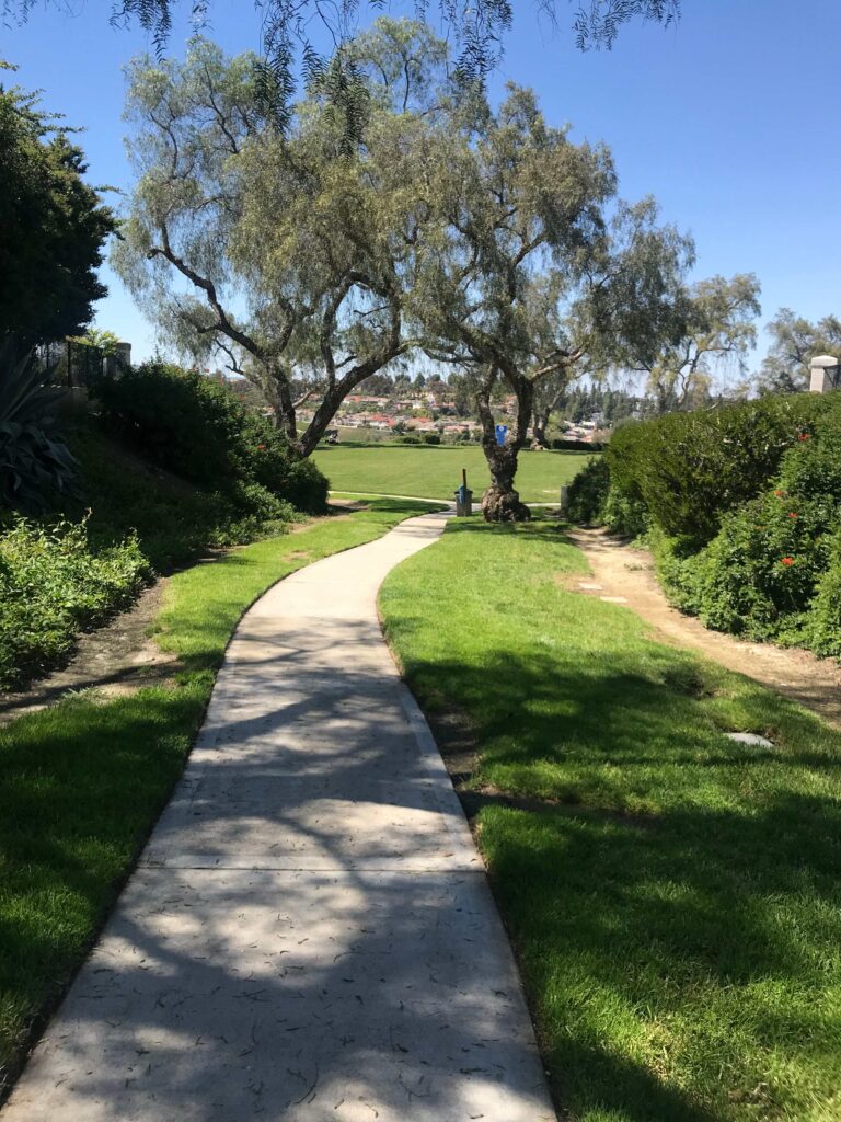 0BA96849 C40B 4F3B B602 67B098838ABD 11zon 768x1024