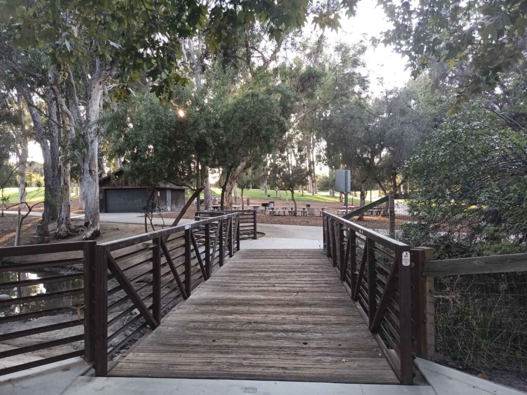 20211001 173231 11zon 1024x768