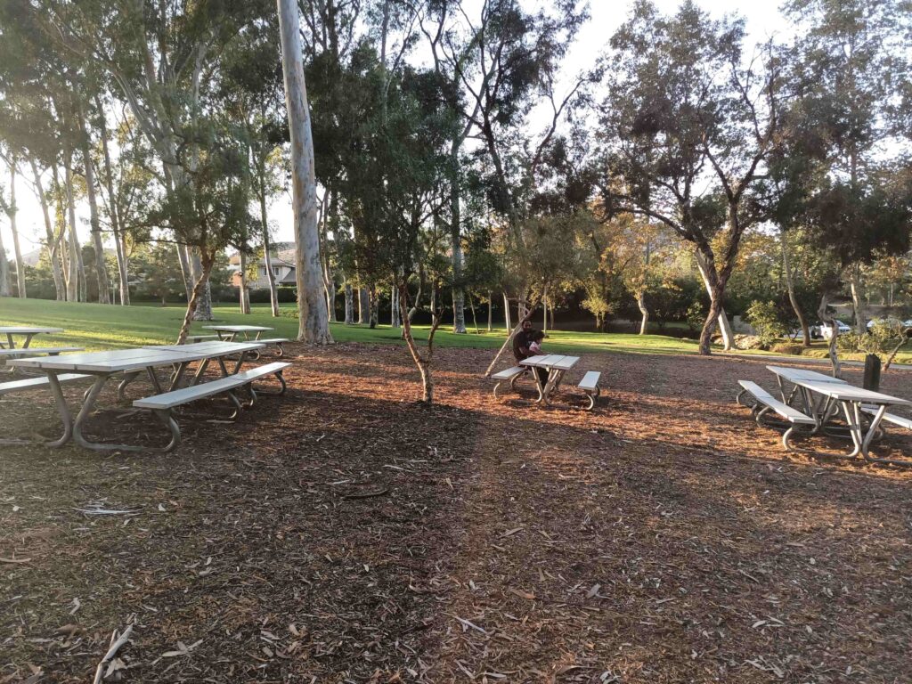 20211001 174704 11zon 1024x768