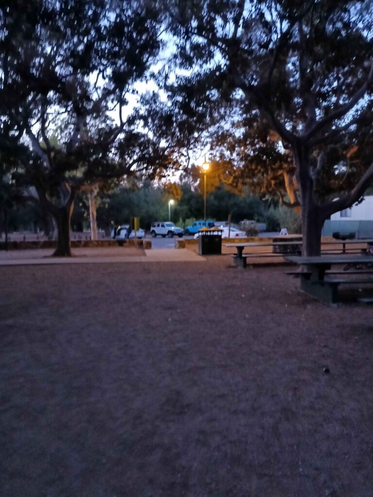 20211009 184137 HDR 11zon 768x1024