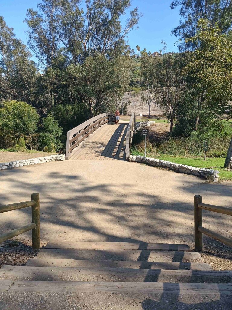 20211105 123048 HDR 11zon 768x1024