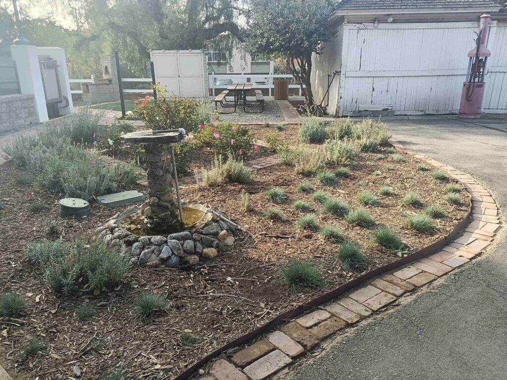 20211204 140926 HDR 11zon 1024x768