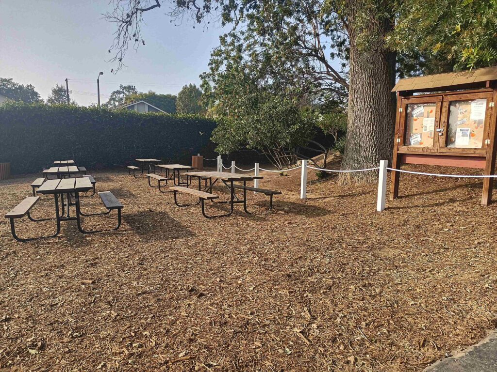 20211204 141550 HDR 11zon 1024x768