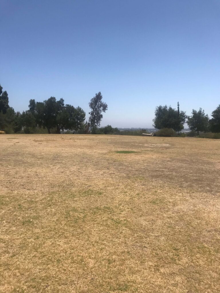 2A1D6D02 C5F5 4D69 8B0B 5C43DAAF94BB 11zon 768x1024