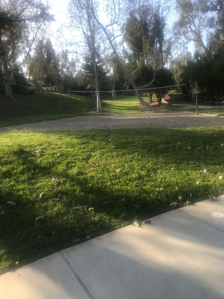 2D17C3CC B2FA 4BE6 A68E 0DE73D589108 11zon 768x1024