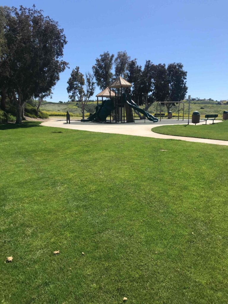 33076E9B DA73 4D71 A051 227A3F473DD3 11zon 768x1024