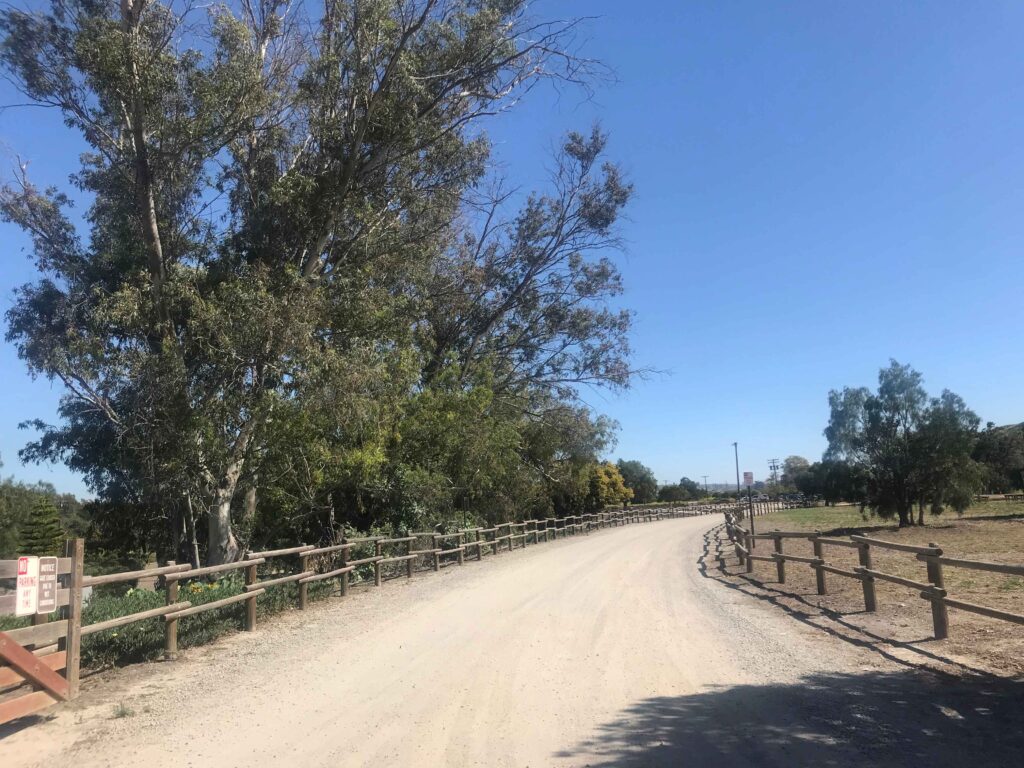 3A7ADE61 D2FA 4D42 87BA B6BBA1CEF5C9 11zon 1024x768