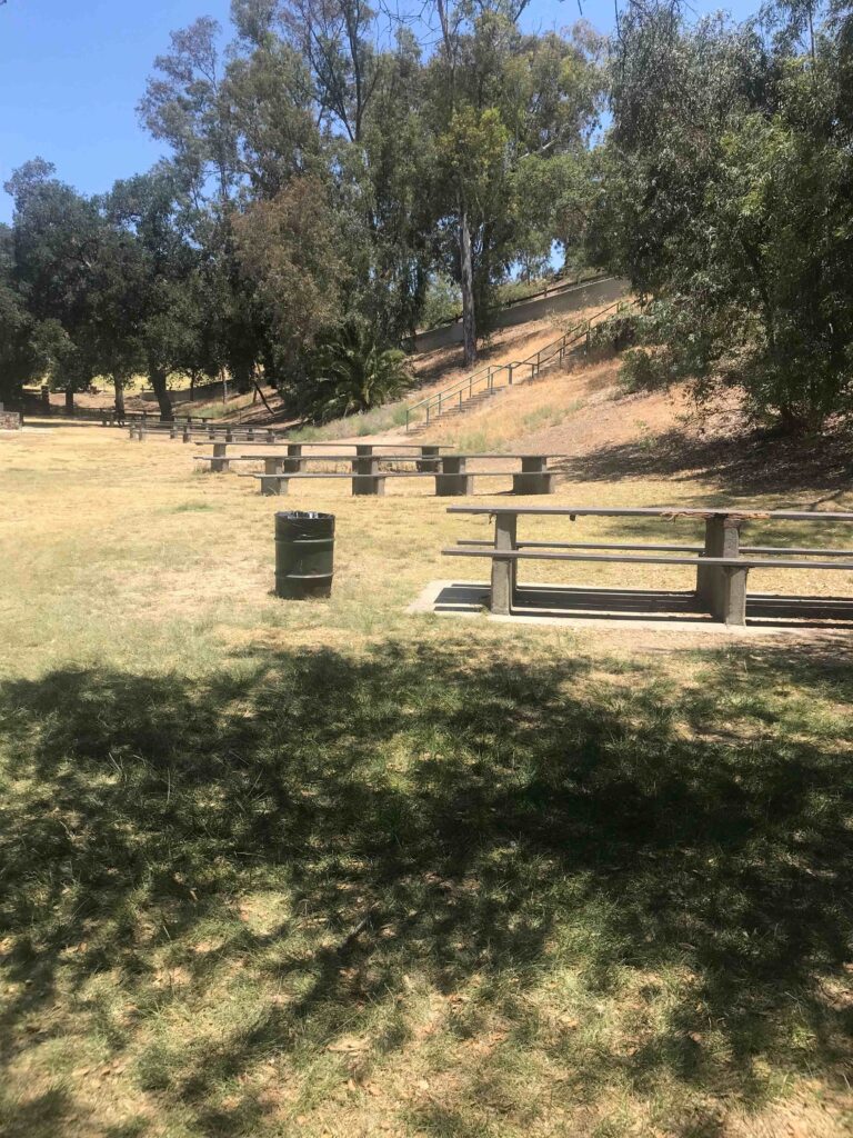 52A80AFA 03EB 43F2 8192 60887414B467 11zon 768x1024