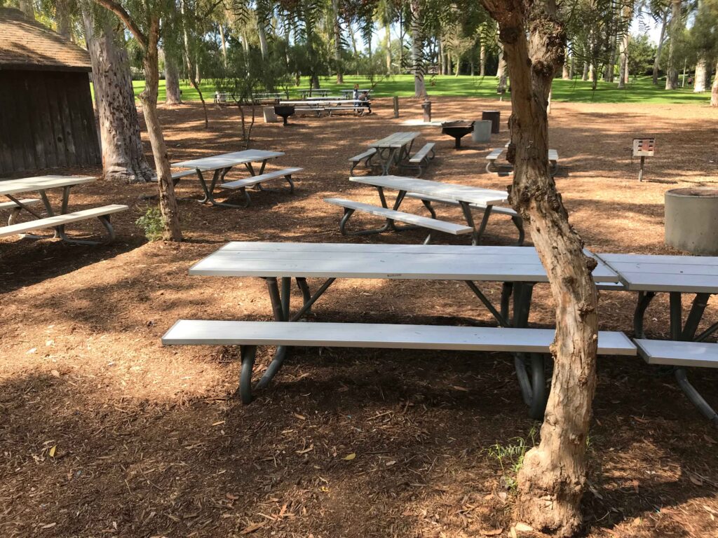 5B280593 1FF0 40A1 84FA 08426900F5A6 11zon 1024x768