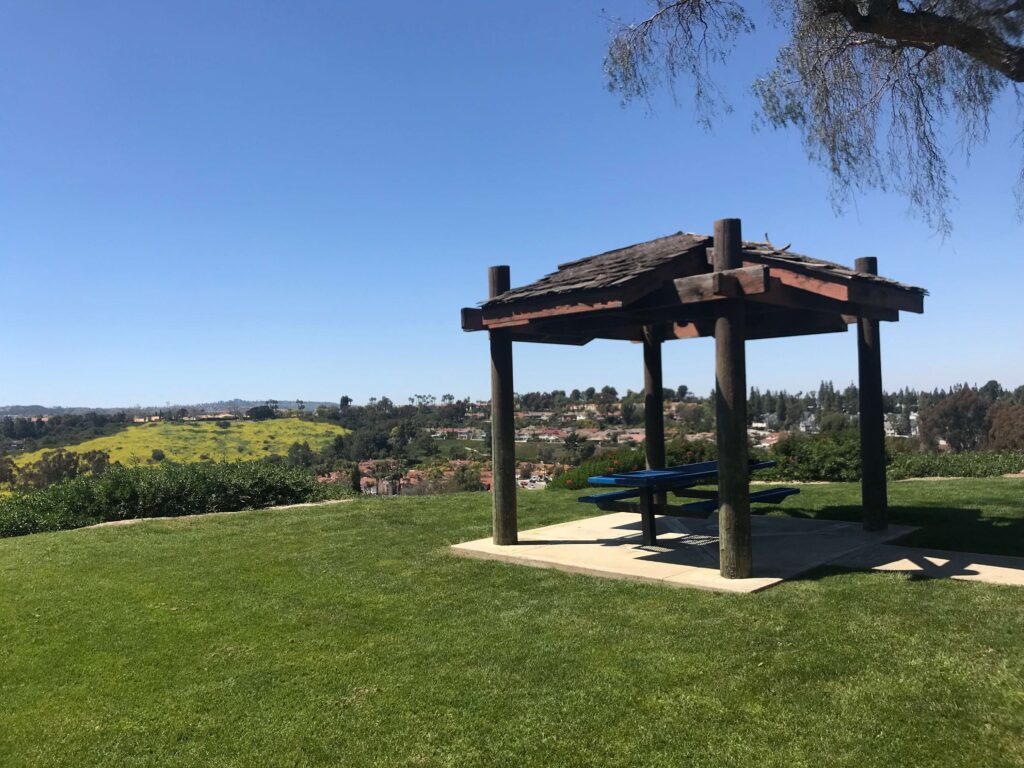 7142691B 6314 46ED B081 065077AB6487 11zon 1024x768