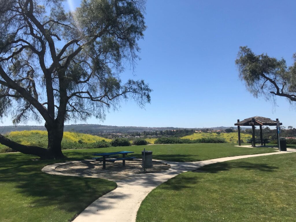 8B5D3882 57DD 4DE9 9B66 FC64DCD9477E 11zon 1024x768