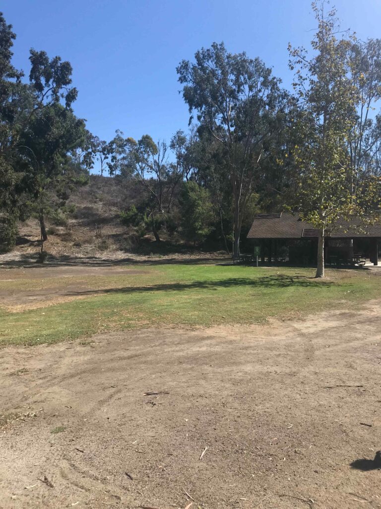 8C116247 AA82 474B A142 EEB5BB166EF0 11zon 768x1024