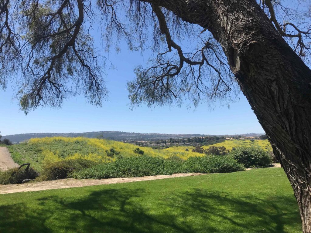 9CAE137B FBE3 4666 A697 1C5700CBECCE 11zon 1024x768