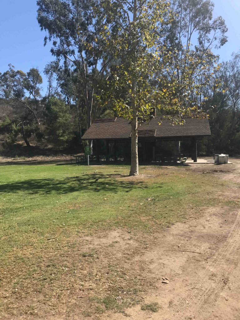 BD41077C 5442 4FD2 9A76 7A8361B25BA7 11zon 768x1024