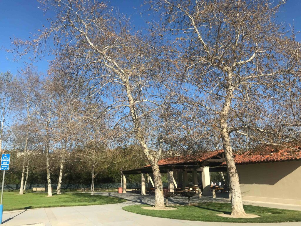 C0140A32 E481 4E25 B8C6 C00813400E66 11zon 1024x768