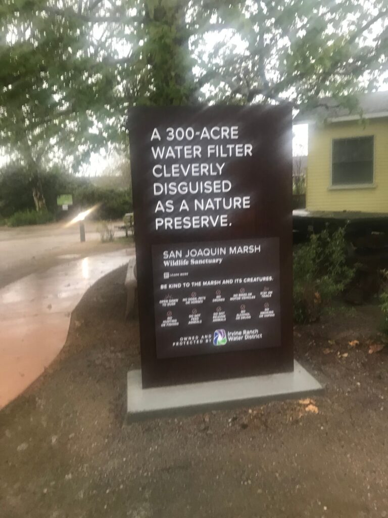 C6786126 4B1F 4A56 97BD DE156F0D1648 11zon 768x1024