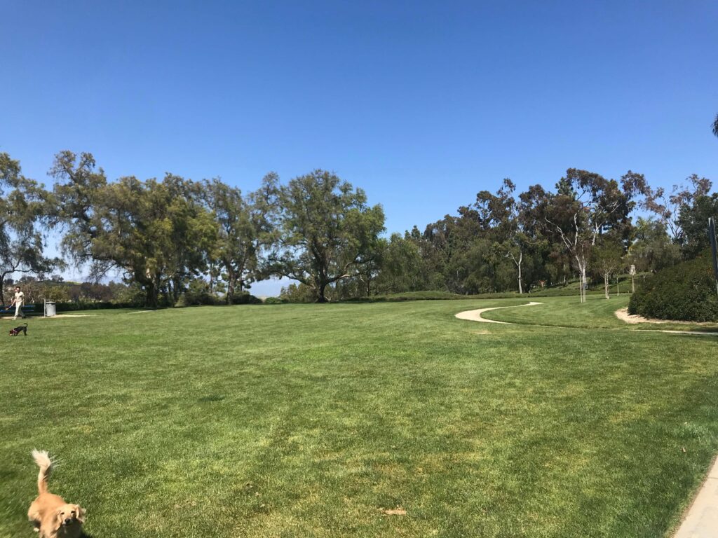 CFABD519 6E76 44C2 AA51 3258313EB01F 11zon 1024x768