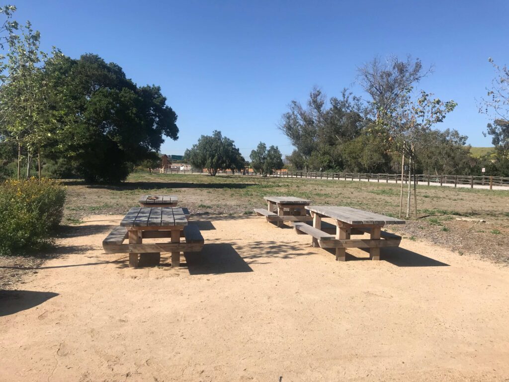 DA907CF1 F7B0 41E3 AB7A 1945714E1EC1 11zon 1024x768