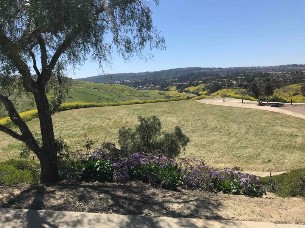 E13A2BF1 7550 42E5 B969 707D610393B2 11zon 1024x768