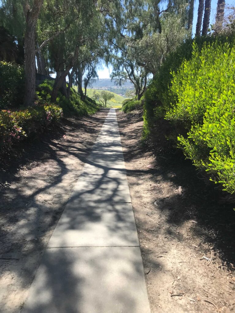 FC0E5E48 9A77 44B2 A497 AD1E29862D25 11zon 768x1024