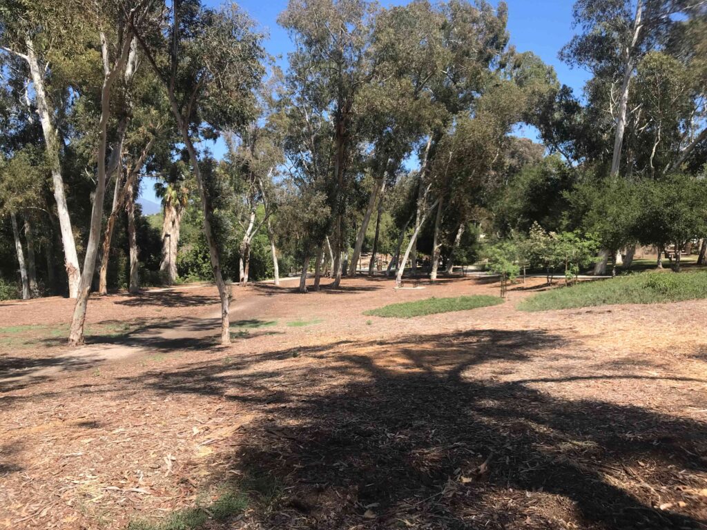 IMG 2930 11zon 1024x768