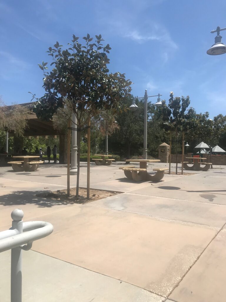 IMG 3465 11zon 768x1024