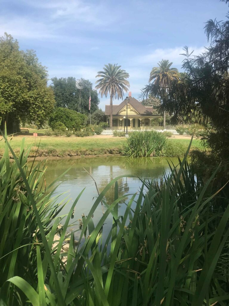 IMG 3517 11zon 768x1024