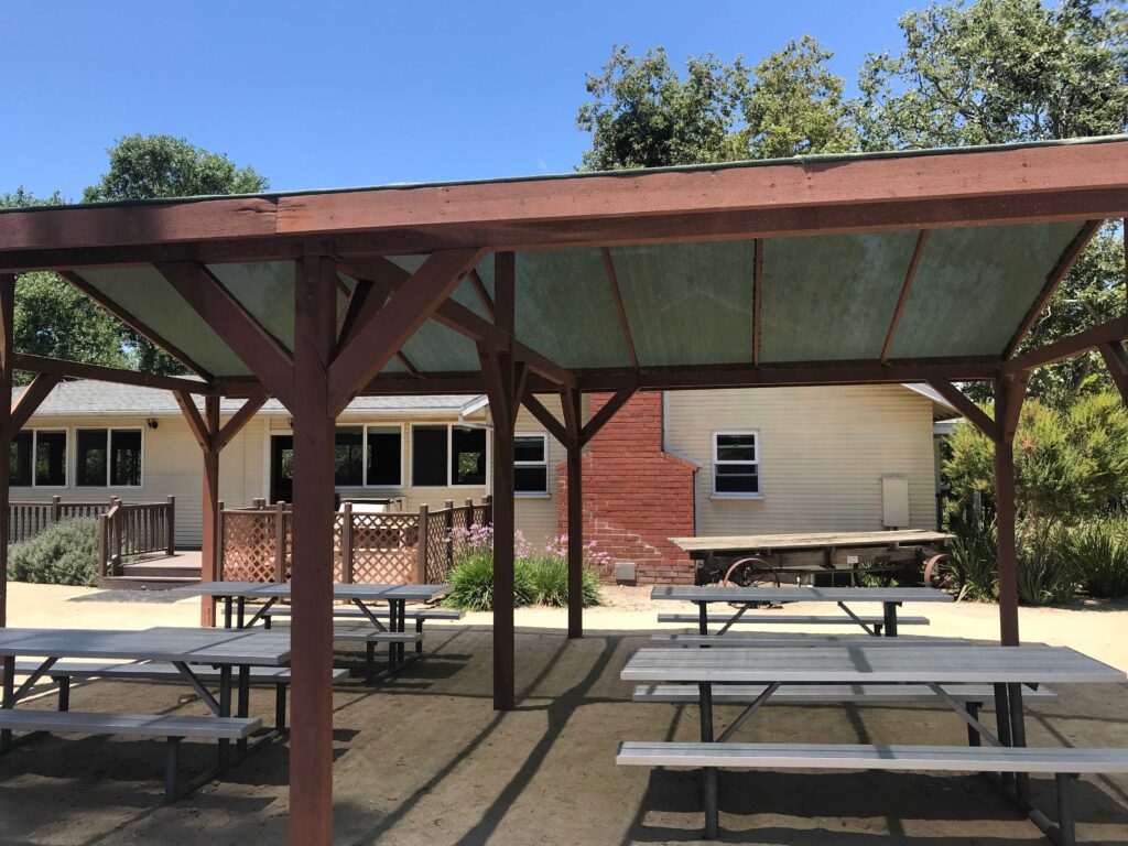 IMG 3546 11zon 1024x768