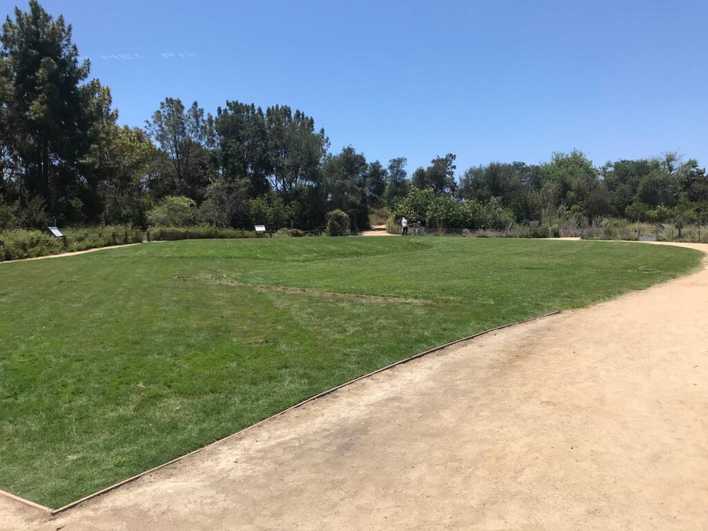 IMG 3548 11zon 1024x768