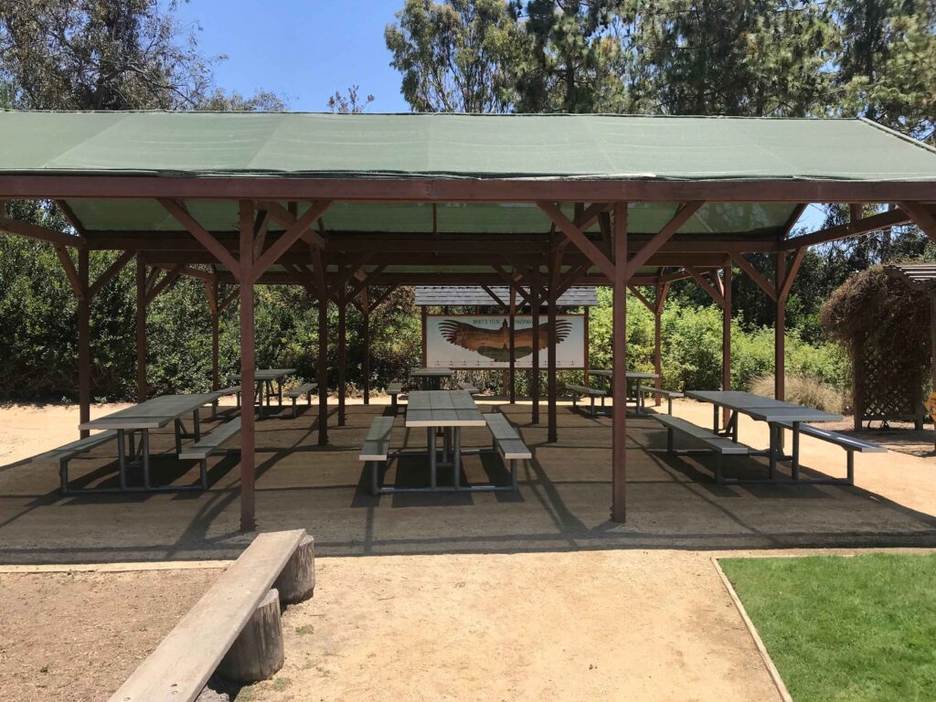 IMG 3549 11zon 1024x768