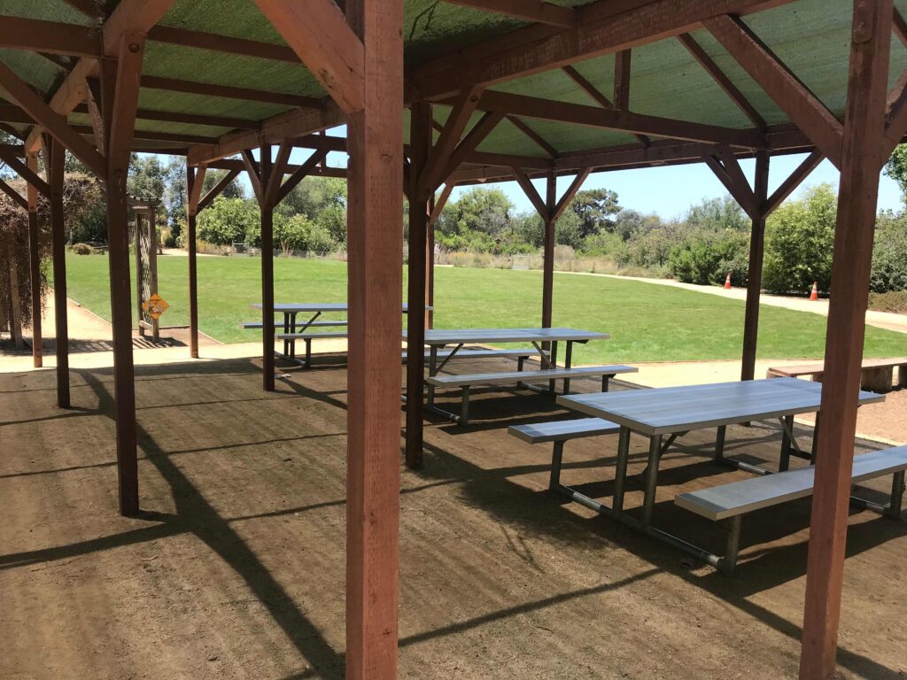 IMG 3550 11zon 1024x768