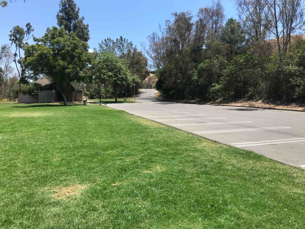 IMG 3555 11zon 1024x768