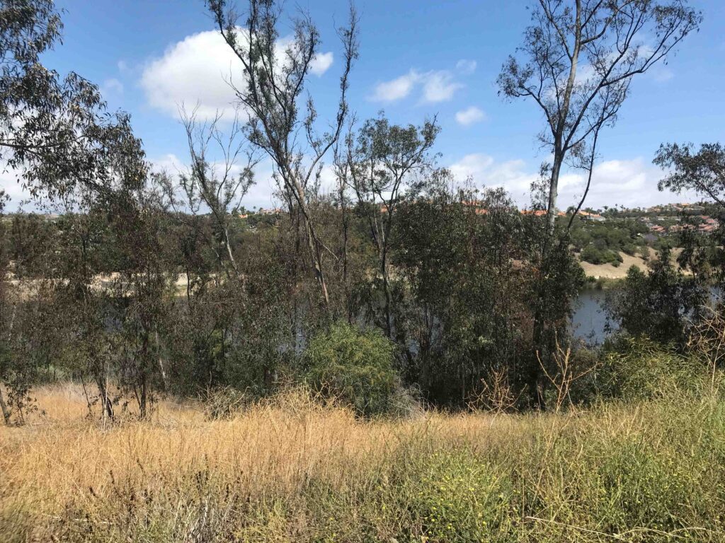 IMG 3557 11zon 1024x768