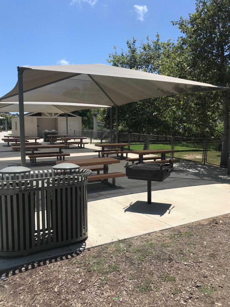 IMG 3564 11zon 768x1024