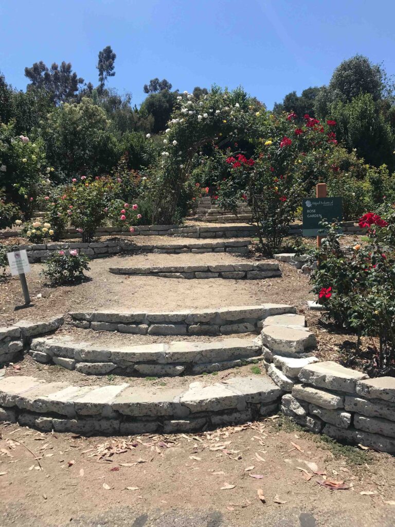 IMG 3572 11zon 768x1024