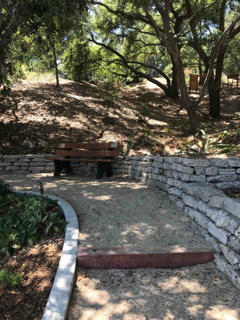 IMG 3579 11zon 768x1024