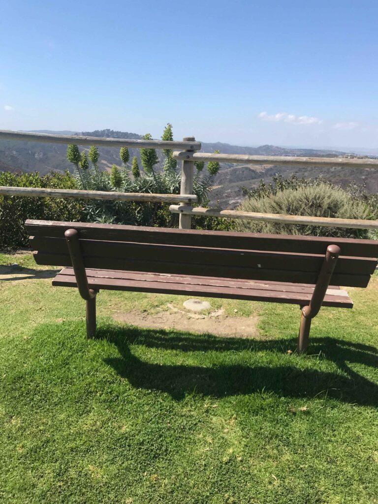 IMG 3596 11zon 768x1024