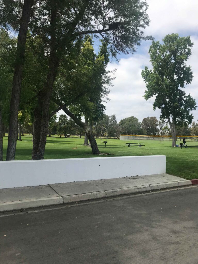 IMG 3605 11zon 768x1024