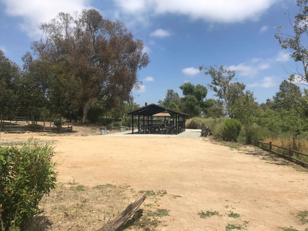 IMG 3612 11zon 1024x768