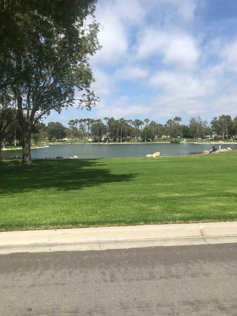 IMG 3614 11zon 768x1024