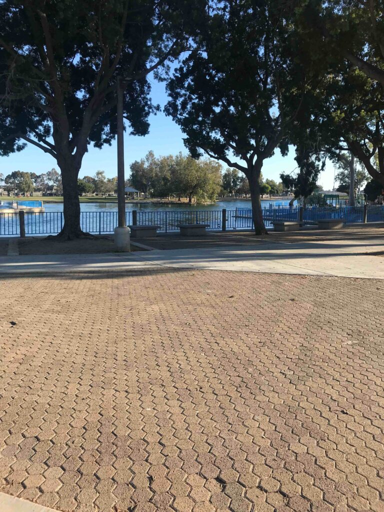 IMG 3615 11zon 768x1024