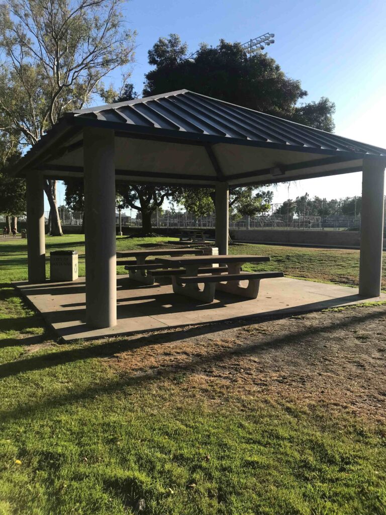 IMG 3625 11zon 768x1024