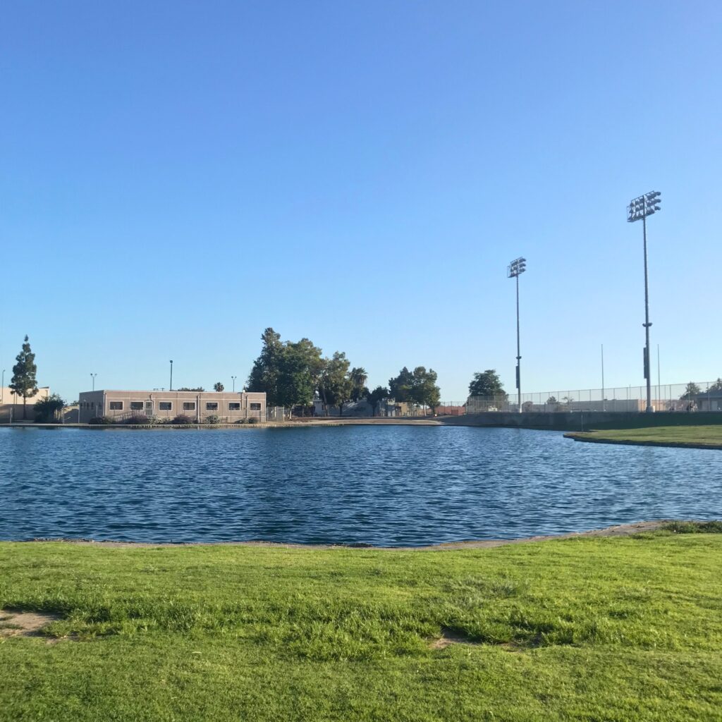 IMG 3631 11zon 1024x1024