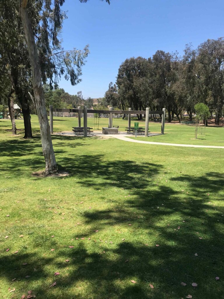 IMG 3634 11zon 1 768x1024