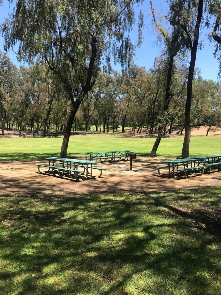 IMG 3643 11zon 768x1024