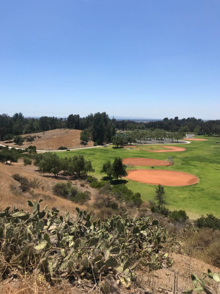 IMG 3650 11zon 1 768x1024