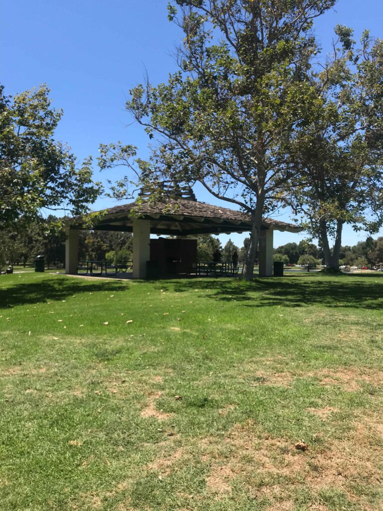 IMG 3745 11zon 768x1024