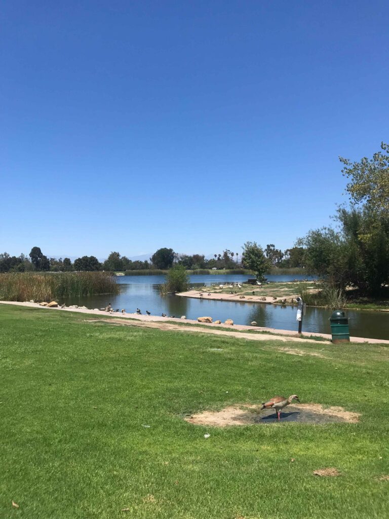 IMG 3746 11zon 768x1024