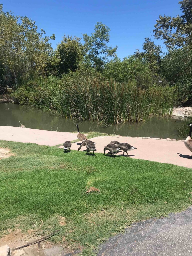 IMG 3747 11zon 768x1024